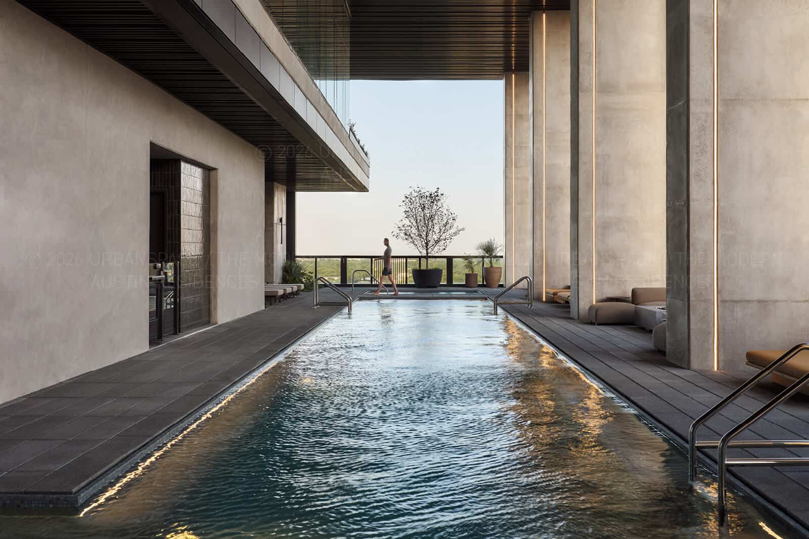 The lap pool running between concrete columns, a specimen tree in a vessel at the open end